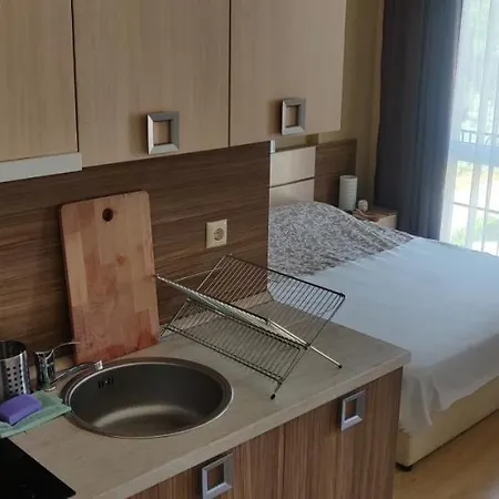 Aphrodite Palace Apartment *